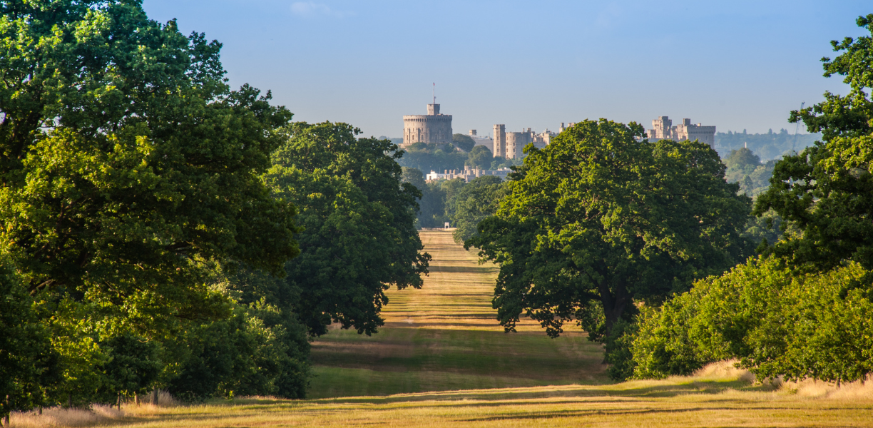 Windsor Castle from Long Walk